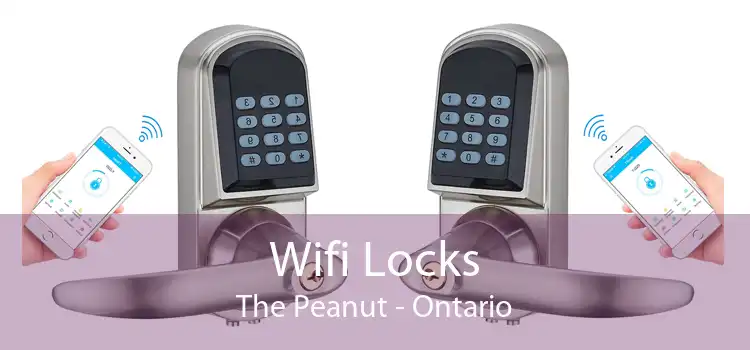 Wifi Locks The Peanut - Ontario